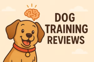 brain training for dogs review stop bad behavior