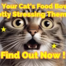 The Truth About Whisker Fatigue