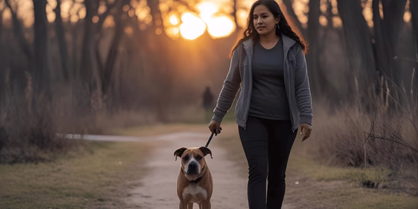 Signs of Anxiety in Adopted Shelter Dogs
